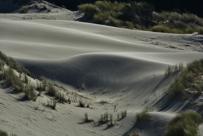 sandy dunes